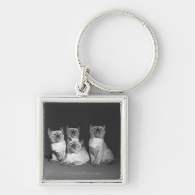 Siamese kittens looking up B&W Key Ring (Front)