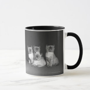 Siamese kittens looking up B&W Mug