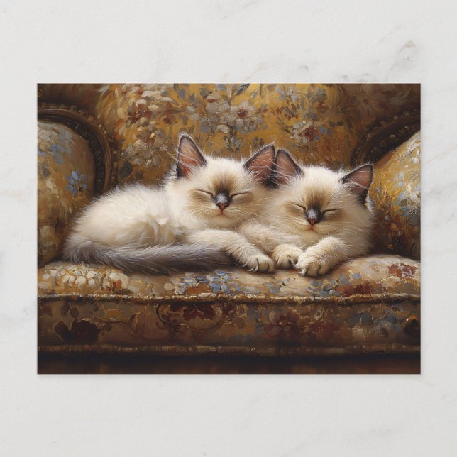 Siamese Kittens Napping Vintage Couch Postcard (Front)
