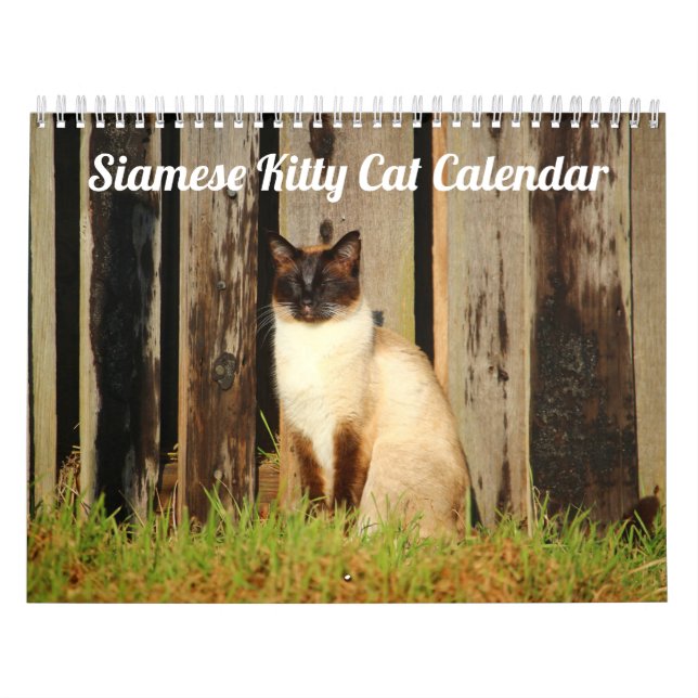 Siamese Kitty Cat Cute  2021 Calendar (Cover)