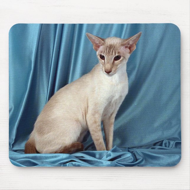 Siamese, lilac point mouse pad (Front)