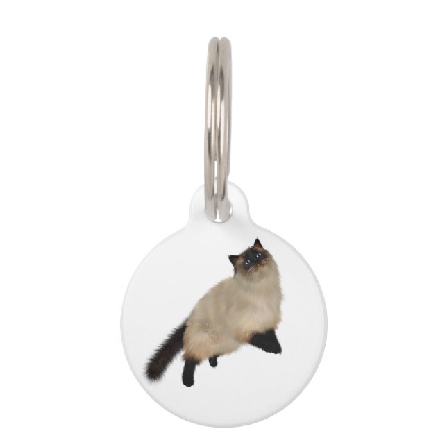 Siamese Long Hair Cat Pet Tag (Front)