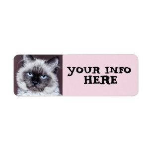 SIAMESE  PEEKING  RETURN ADDRESS LABELS