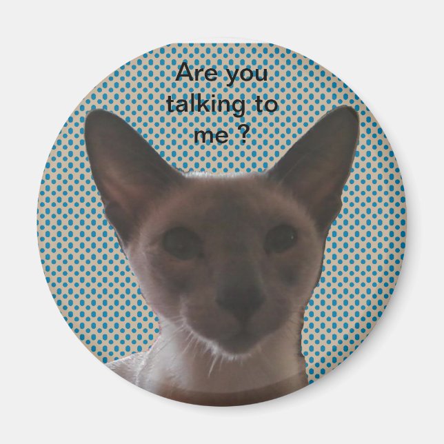 Siamese Silly Cat Magnet (Front)