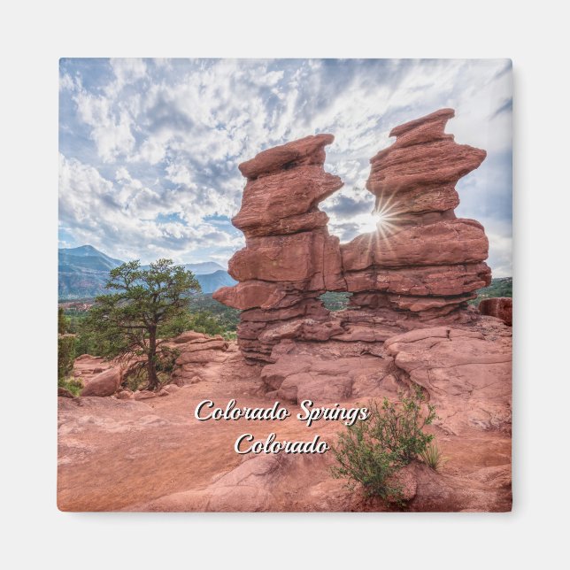 Siamese Twins Colorado Sunburst Square Magnet (Front)