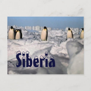 Siberia arctic winter  postcard