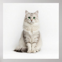 Siberian Cat Art