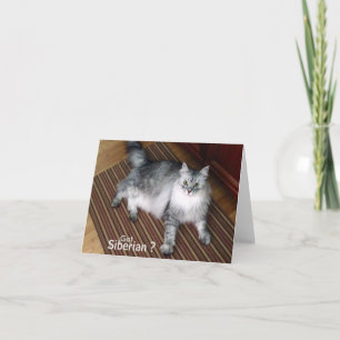Siberian Cat Blank Note Card