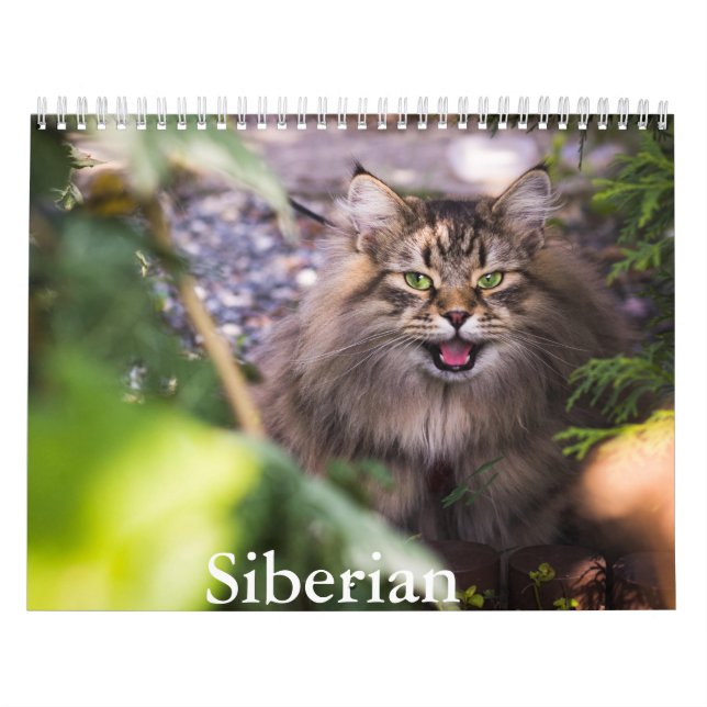 Siberian Cat Calendar (Cover)