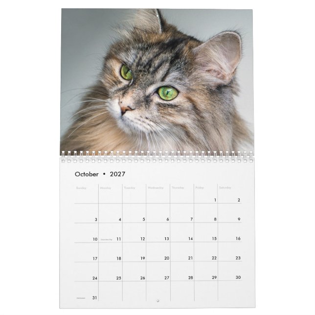 Siberian Cat Calendar 2019 (Oct 2027)