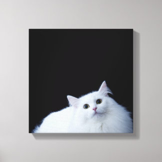Siberian Cat Canvas Print