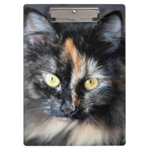 Siberian Cat Clipboard