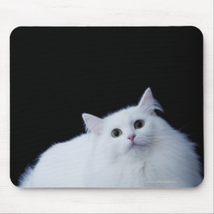 Siberian Cat Mouse Pad