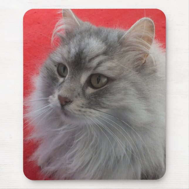 Siberian Cat Mousepad (Front)