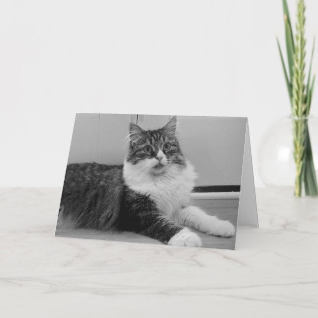 Siberian Cat Note Card (Front)