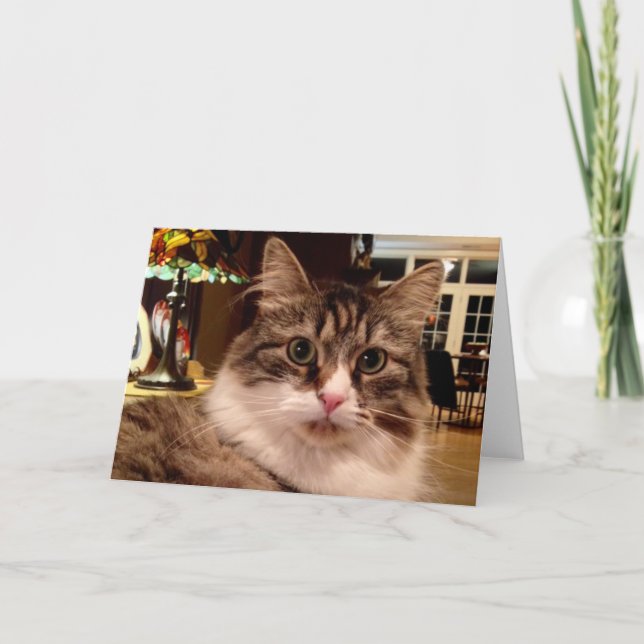 Siberian Cat Note Card (Front)
