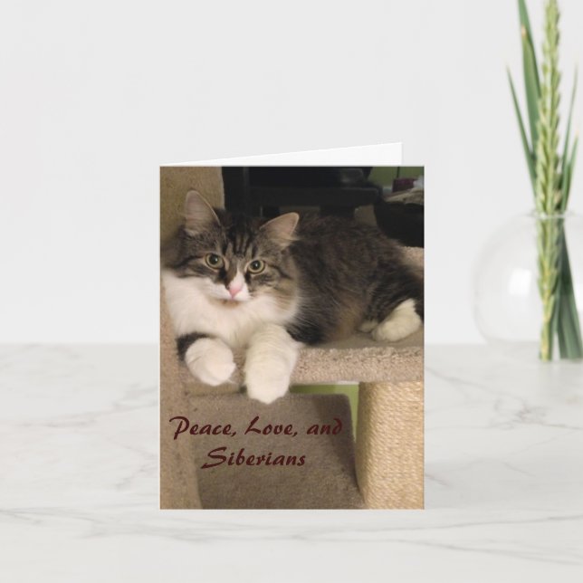 Siberian Cat Note Cards (Front)
