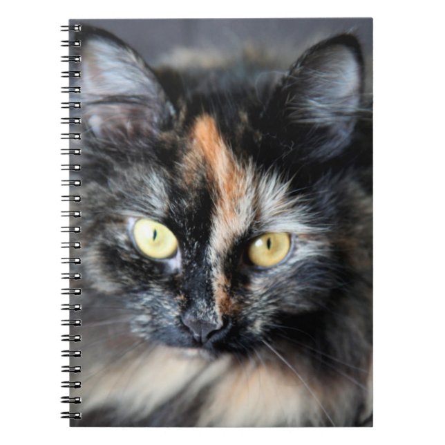 Siberian Cat Spiral Notebook (Front)