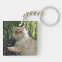 Siberian Forest Cat (Double Sided)