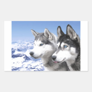 Siberian Huskies Rectangular Sticker