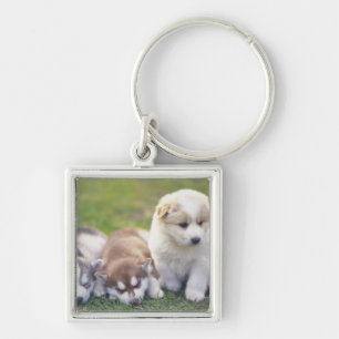 Siberian Husky; A working dog breed that Key Ring