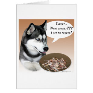 Siberian Husky (black) Turkey