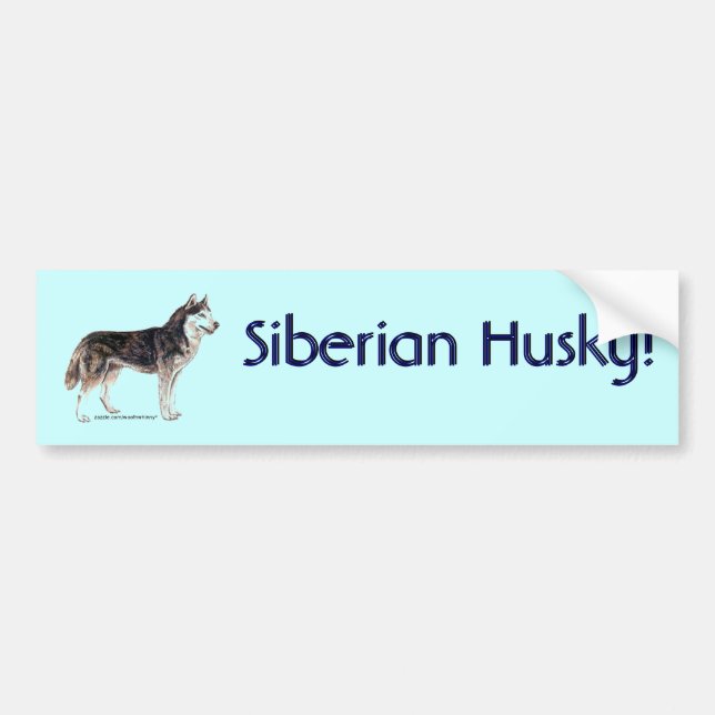 Siberian Husky! Bumper Sticker (Front)