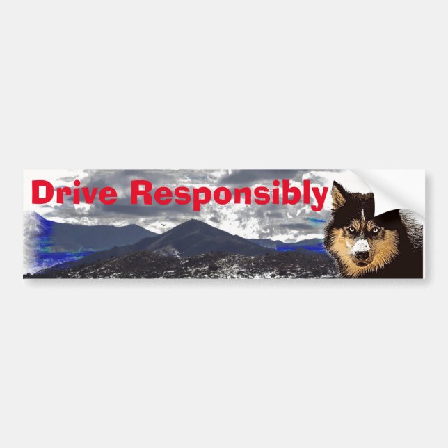 Siberian Husky Bumper Sticker (Front)