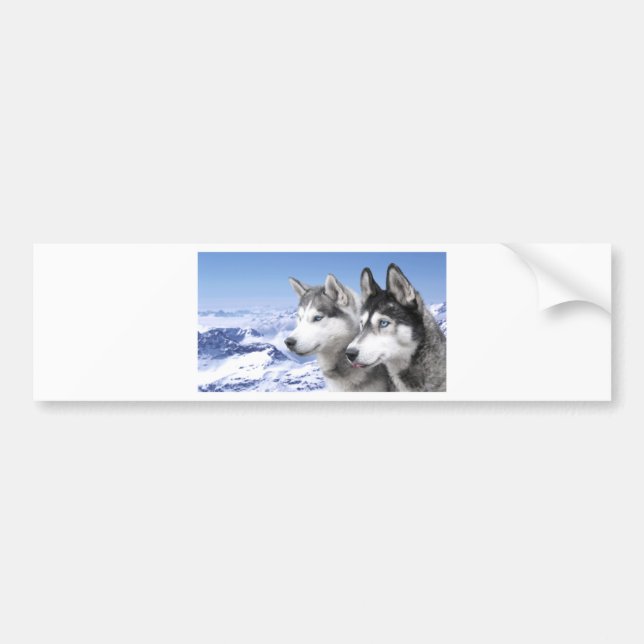 Siberian Husky Bumper Sticker (Front)