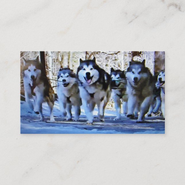 SIBERIAN HUSKY BUS / PERSONAL CARD (Front)