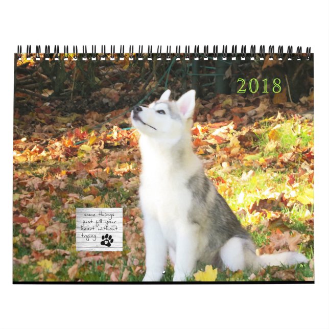 Siberian Husky Calendar (Cover)