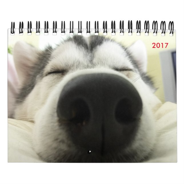 Siberian Husky Calendar (Cover)