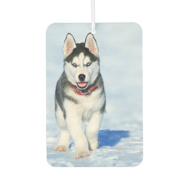 Siberian Husky Car Air Freshener (Front)