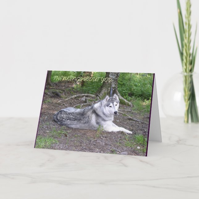 SIBERIAN HUSKY CARD (Front)