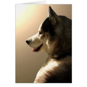 Siberian Husky Card / Alaskan Malamute Card
