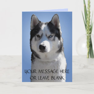 Siberian Husky Card / Alaskan Malamute Card Blank