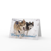 Siberian Husky Christmas Card