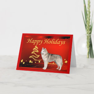 Siberian Husky Christmas Card Stars