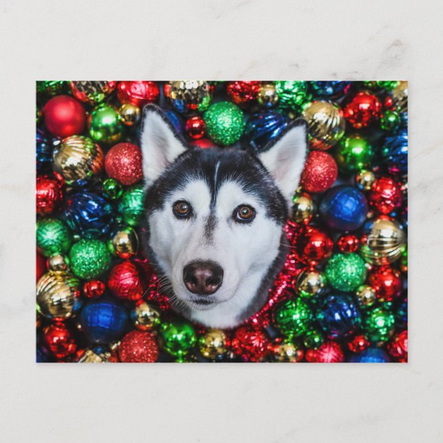 Siberian Husky Christmas Ornament Card (Front)