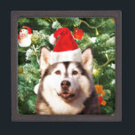 Siberian Husky Christmas Tree Ornaments Snowman Jewellery Box<br><div class="desc">Cute Siberian Husky with Christmas Tree Ornaments Snow Man in background.</div>