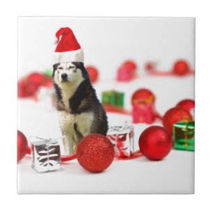 Siberian Husky Christmas with Ornament  Gift Box Tile