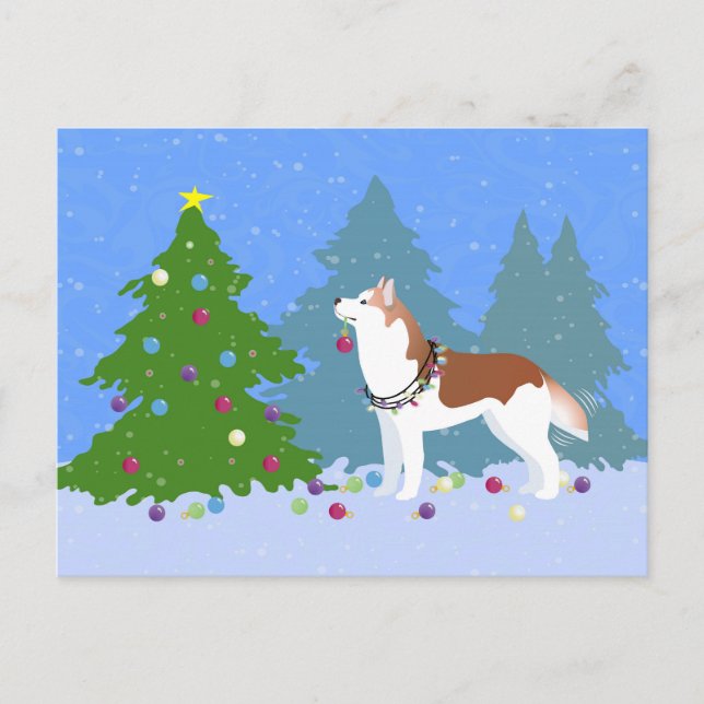 Siberian Husky Decorating Christmas Tree -Forest Holiday Postcard (Front)