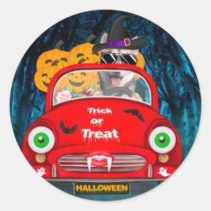 Siberian Husky Dog Driving Car Scary Halloween  Classic Round Sticker