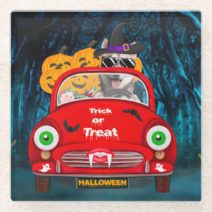 Siberian Husky Dog Driving Car Scary Halloween Glass Coaster