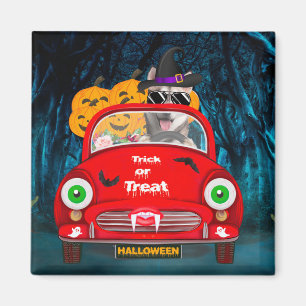 Siberian Husky Dog Driving Car Scary Halloween  Magnet