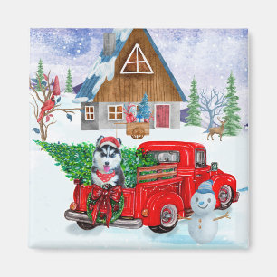 Siberian Husky Dog In Christmas Delivery Truck Magnet
