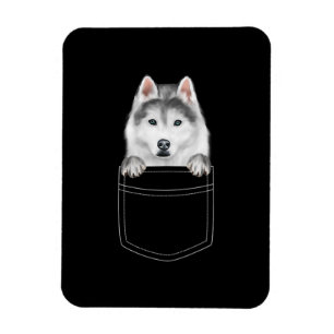 Siberian Husky Dog In Pocket  Funny Dog Lover Gift Magnet