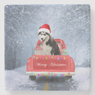 Siberian Husky Dog in Snow sitting Christmas Truck Stone Coaster