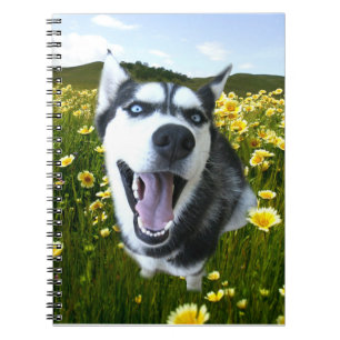 Siberian Husky Dog in Wildflowers Notebook