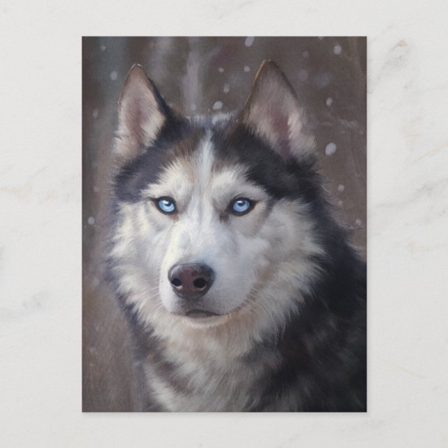 Siberian Husky Dog Postcard (Front)